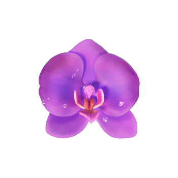 butterfly-blobutterfly-blossom_h_orchid_bssom_h_orchid_b