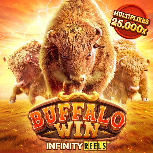 bufallo-win_web_banner_500_500_en