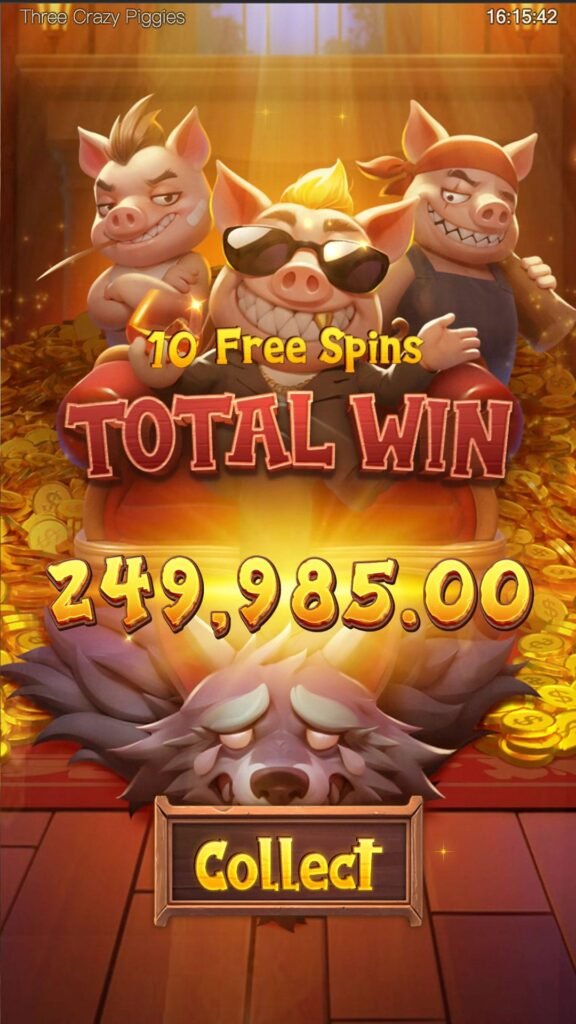 shot3_Three_Crazy_Piggies