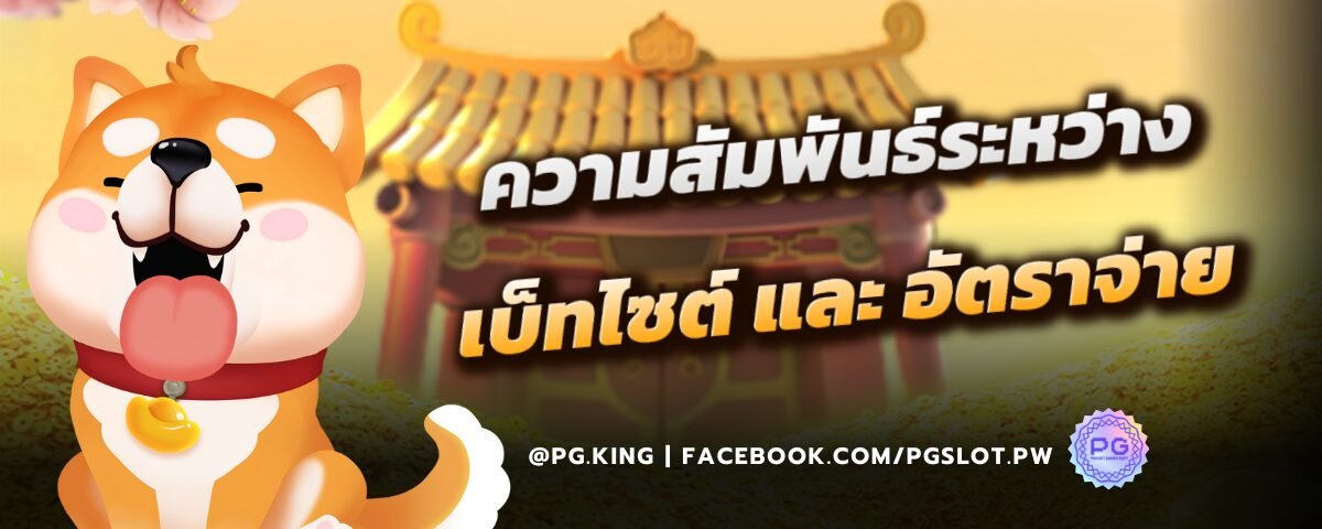 ขนาดการเดิมพัน และ อัตราจ่ายเงิน