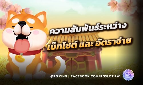 ความสัมพันธ์ระหว่าง ขนาดการเดิมพัน และ อัตราจ่ายเงินของเกมสล็อต PGSLOT